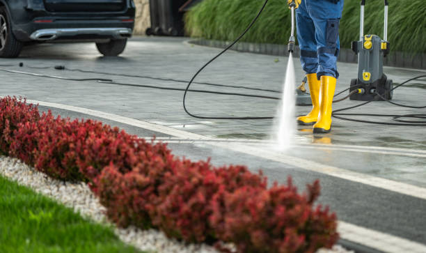 Best Roof Power Washing Services  in Minot, ND