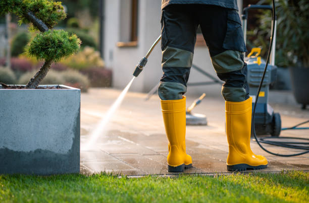 Best Deck Cleaning Services  in Minot, ND